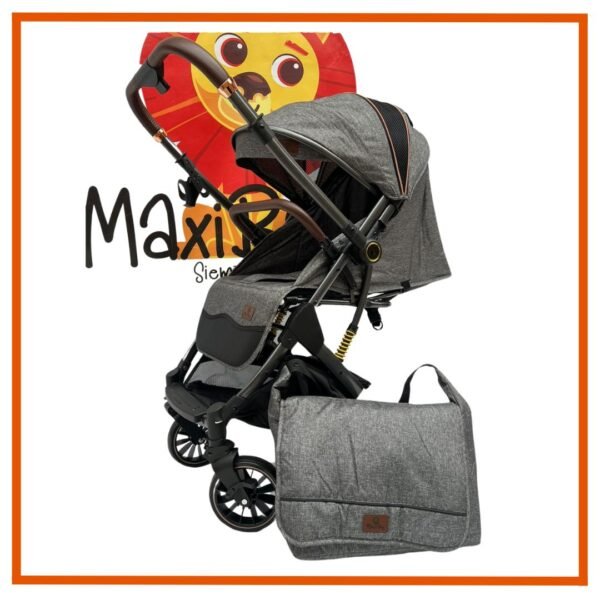 Coche Maleta Zooper Gris