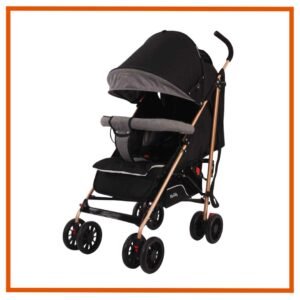 Coche Paseador Dona Gris