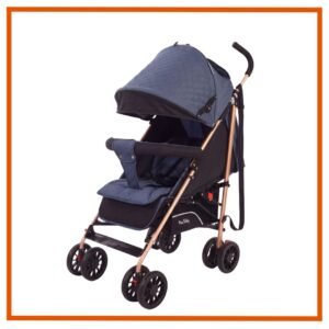 Coche Paseador Dona Azul