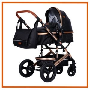 Coche Moises Ultra Negro